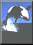 Benutzeravatar